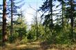 11925 Sunrise Plateau, Anacortes, WA 98221