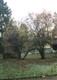 1706  Grant St , Bellingham, WA