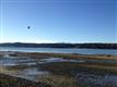 18341 E State Route 106, Belfair, WA 98528