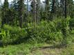1  Anders Dr 