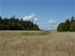 0 Allan Island, Anacortes, WA 98221