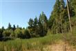 17312  74th St KP, Vaughn, WA