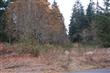 15512  89th St Ct KP, Gig Harbor, WA