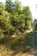 16809  115th St KP, Gig Harbor, WA