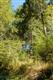 16809 115th St KP, Gig Harbor, WA 98329