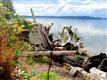 0 178th Av Ct KP, Longbranch, WA 98351