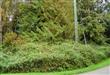 0  175th Ave KP, Longbranch, WA