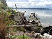 0 175th Ave KP, Longbranch, WA 98351