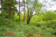 0 86th St Ct KP, Longbranch, WA 98351