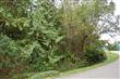 0  81st St KP, Longbranch, WA