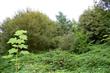 0  174th Av Ct , Longbranch, WA