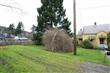 3805  Consolidation Ave , Bellingham, WA