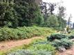 117 90th Ave NE, Kirkland, WA 98034