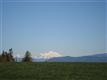 Camano Island