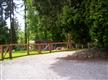 23422 57th Ave SE, Woodinville, WA 98072