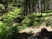 0 Red Bridge Rd, Cle Elum, WA 98922