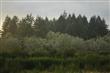 13401  Marksman St SW, Olympia, WA