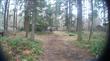 16302  Village Dr SE, Rainier, WA