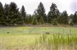 10048 State Route 507 SE, Rainier, WA 98576