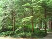 7077  Rainier Way , Glacier, WA