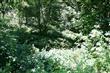 2633 NE Strand Rd, Bremerton, WA 98311