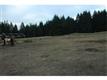 10640 State Route 507, Rainier, WA 98576
