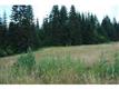 10640 State Route 507, Rainier, WA 98576