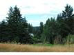 10640 State Route 507, Rainier, WA 98576