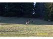 10640 State Route 507, Rainier, WA 98576