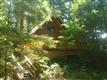7091  Bluet Pass , Glacier, WA