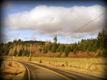 0  Waldrick Rd SE, Tenino, WA