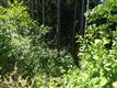 5 Randolph Ave, Mukilteo, WA 98275