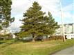 902  21st St , Anacortes, WA