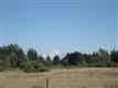 79 Kickerville Rd, Blaine, WA 98230