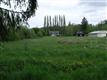165 Ribelin Rd, Chehalis, WA 98532
