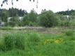 165 Ribelin Rd, Chehalis, WA 98532