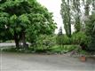 165 Ribelin Rd, Chehalis, WA 98532