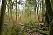 168  194th Ave NE, Woodinville, WA