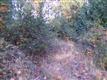 321 E Panorama Dr , Shelton, WA