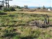 1335 Crestline, Oak Harbor, WA 98277