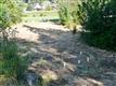 321 E Road Of Tralee, Shelton, WA 98584