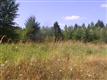 13513 Dobiash Lane SE, Yelm, WA 98597