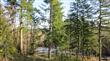 6123  139th Ct SW, Rochester, WA