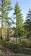 6123 139th Ct SW, Rochester, WA 98579