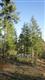 6123 139th Ct SW, Rochester, WA 98579
