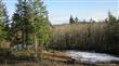 6123 139th Ct SW, Rochester, WA 98579