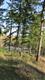 6123 139th Ct SW, Rochester, WA 98579