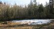 6123 139th Ct SW, Rochester, WA 98579
