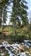 6123 139th Ct SW, Rochester, WA 98579