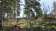 6123 139th Ct SW, Rochester, WA 98579